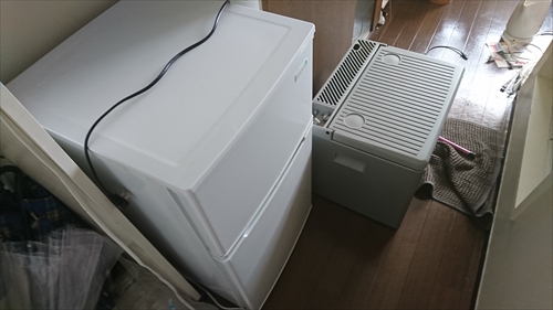 10���E���̃S�����I